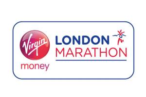 VMLM 2014 logo