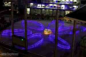 Speed of Light Petal