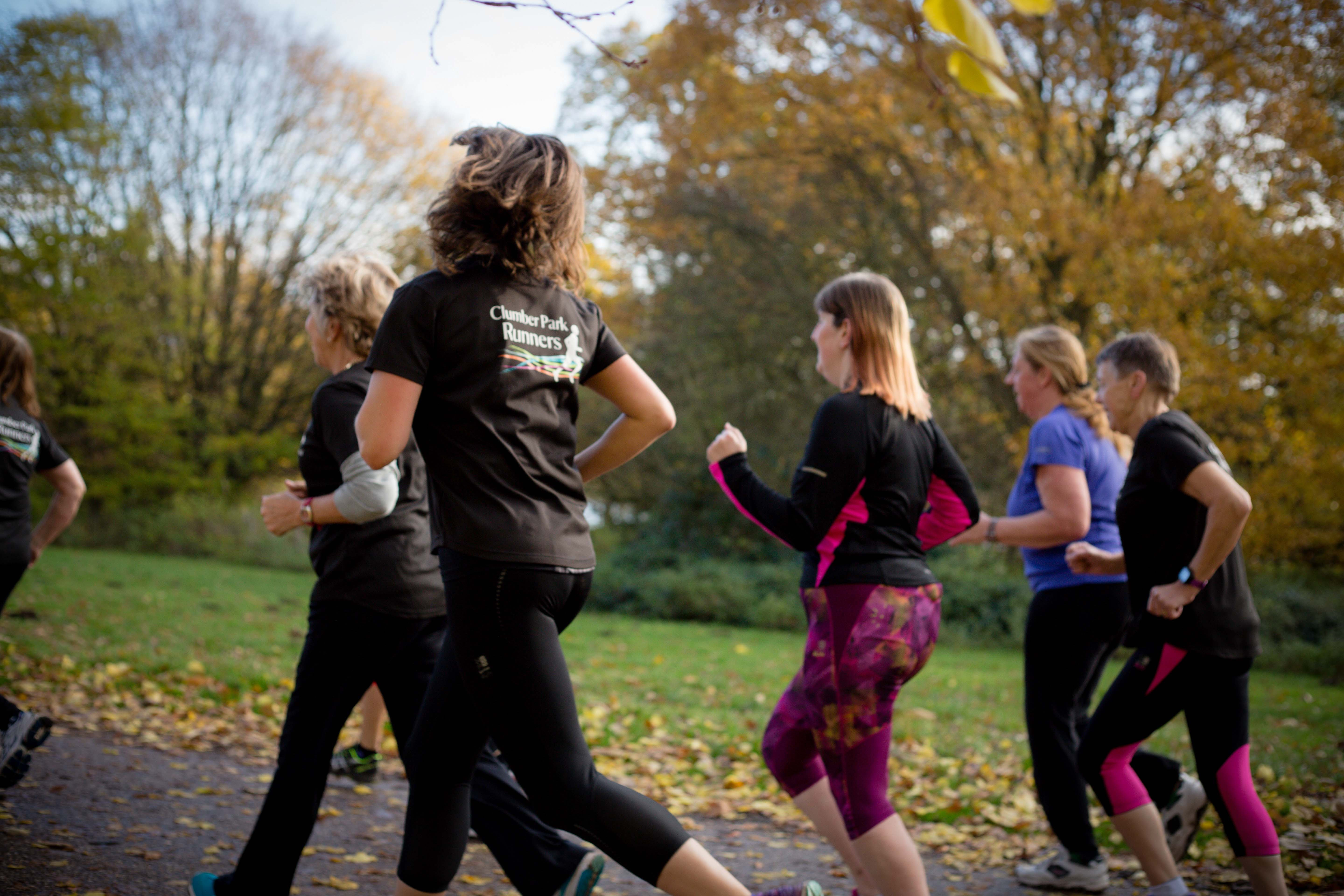 clumber (7 of 9).JPG