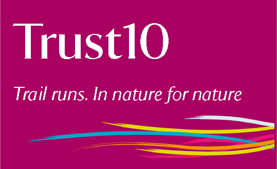 T10 Compact logo.png