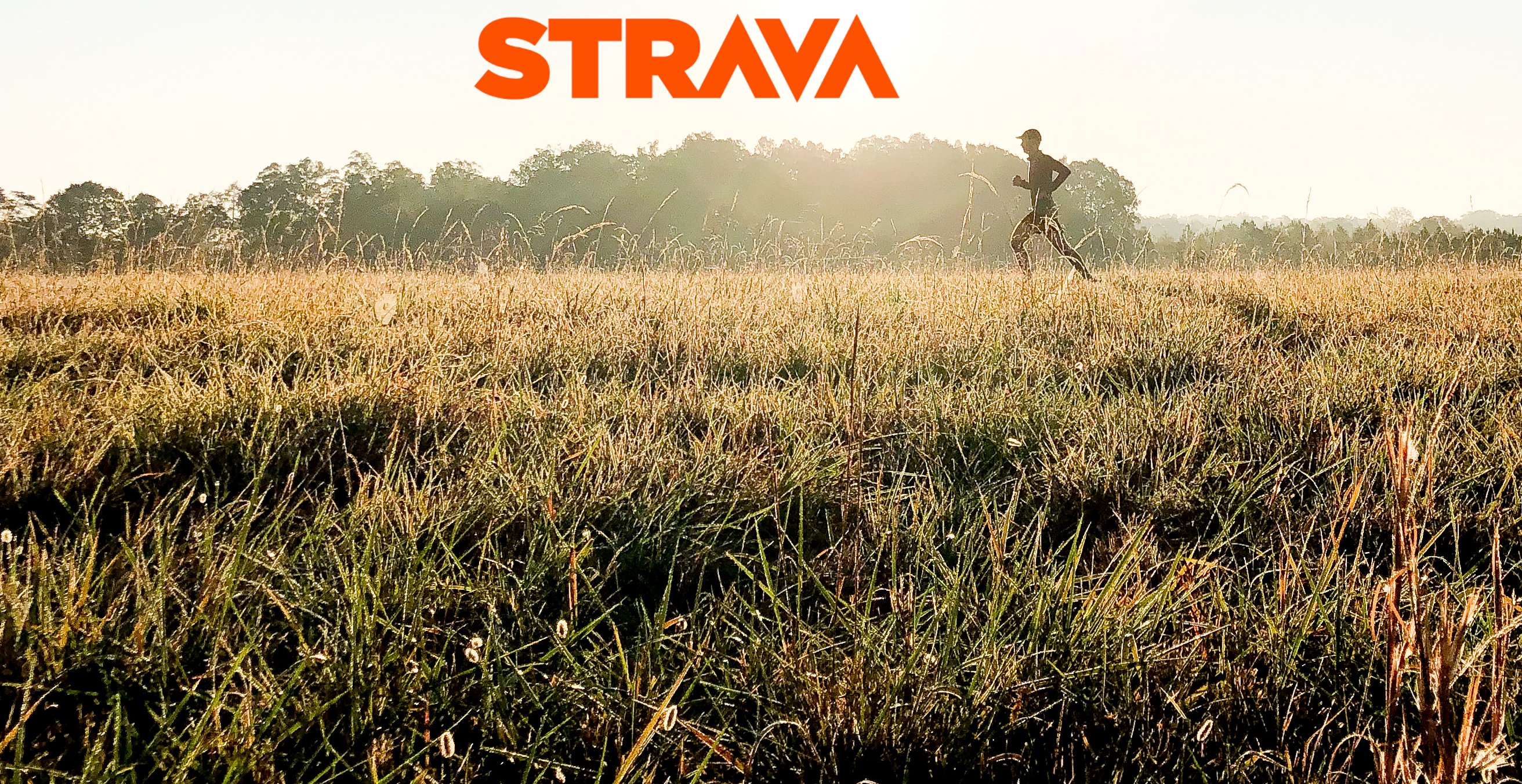 strava_ea_fr-heroimageJPGsm2.jpg