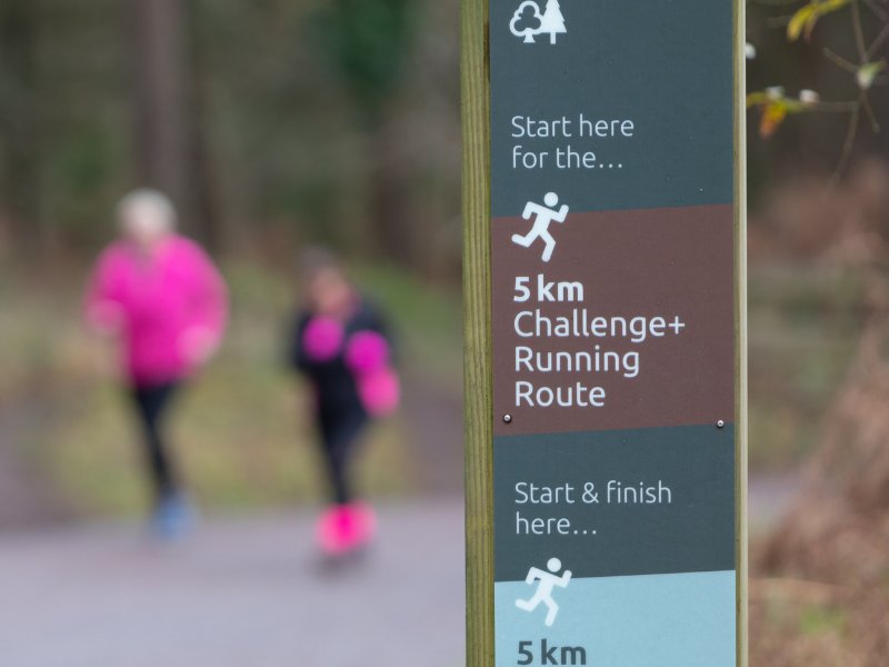 Forestry England4jpg.jpg