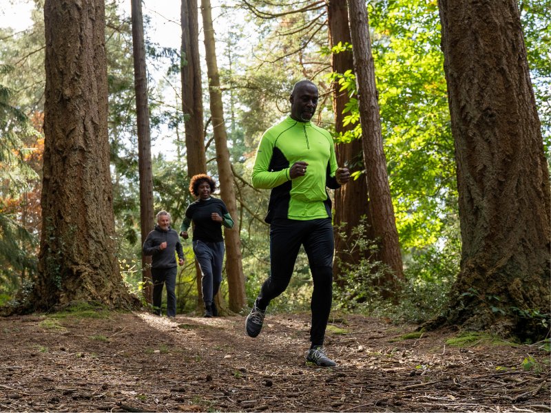 Thumbnail image for Forestry England