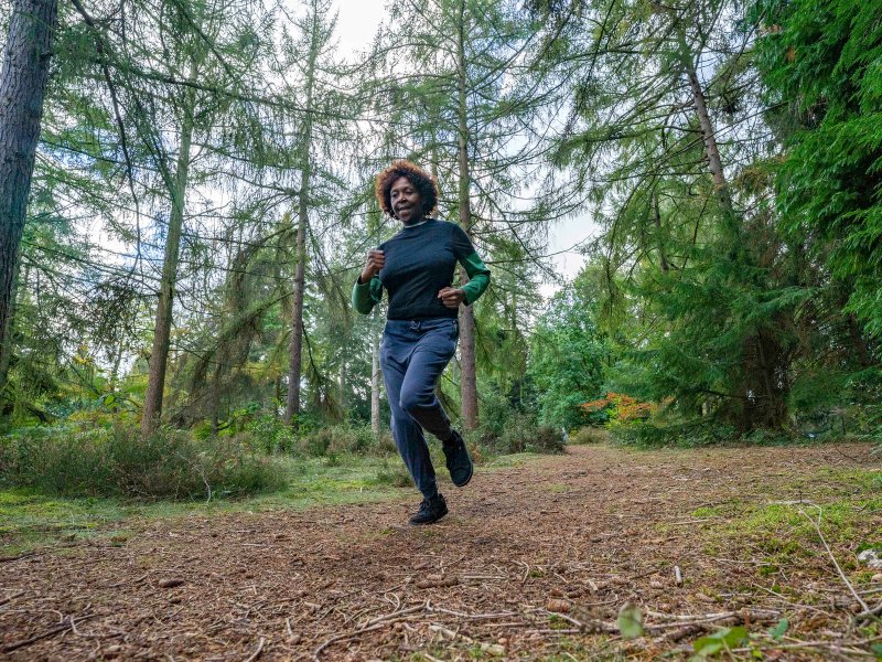 Forestry England2jpg.jpg