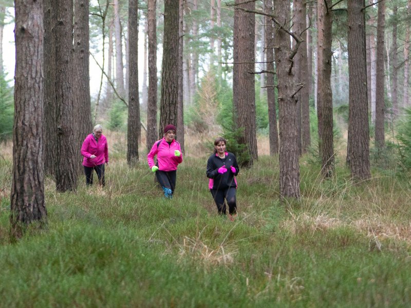 Forestry England3jpg.jpg