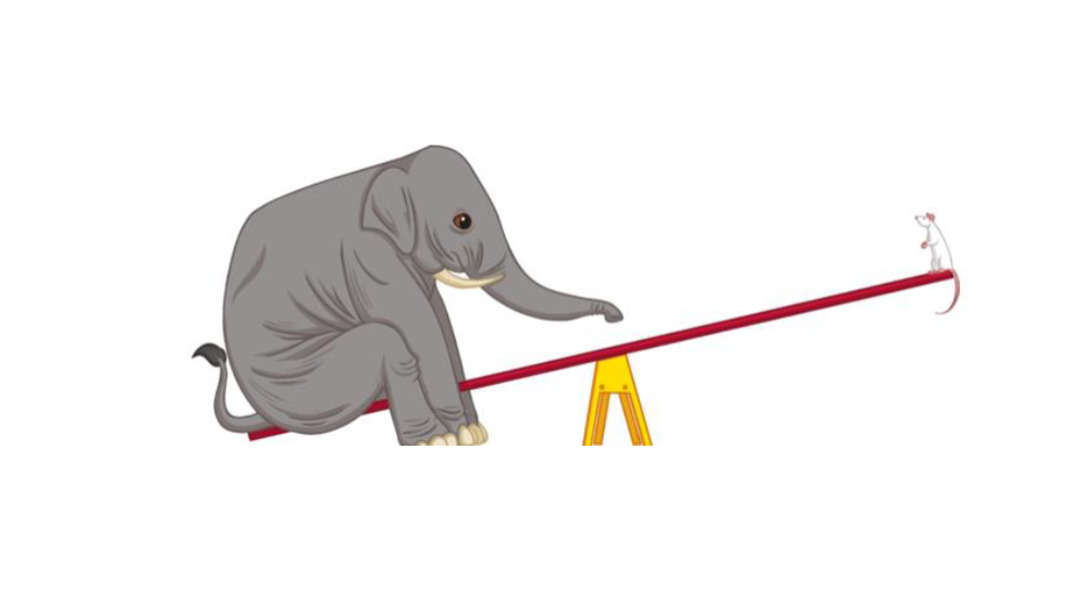 elephant and mouse.png