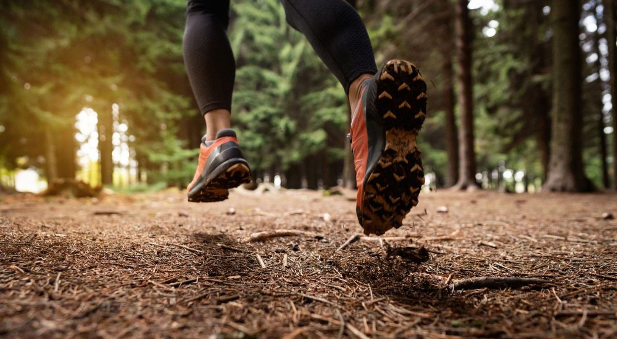 Sportsshoes Blog 2024 Header44